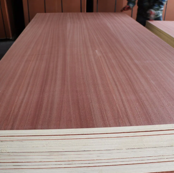 Sapele Plywood - Image 4