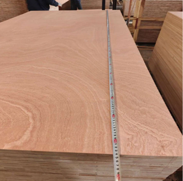 Sapele Plywood - Image 2