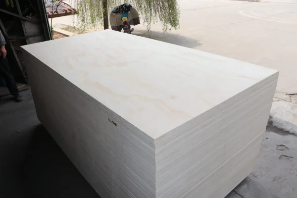 Pine Plywood - Image 4
