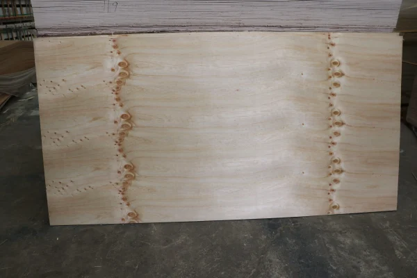 CDX plywood - Image 4