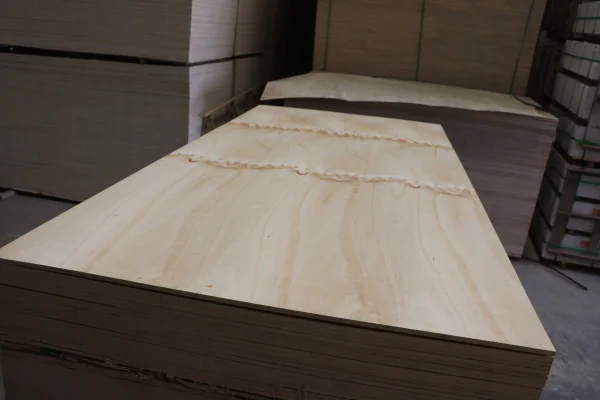 CDX plywood
