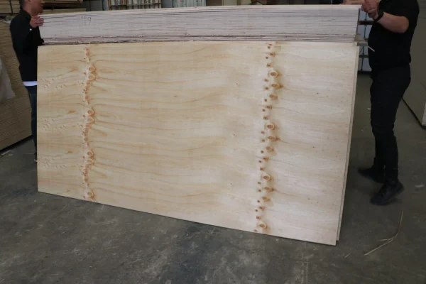 CDX plywood - Image 2