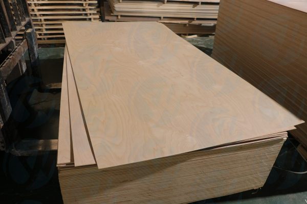 Birch plywood