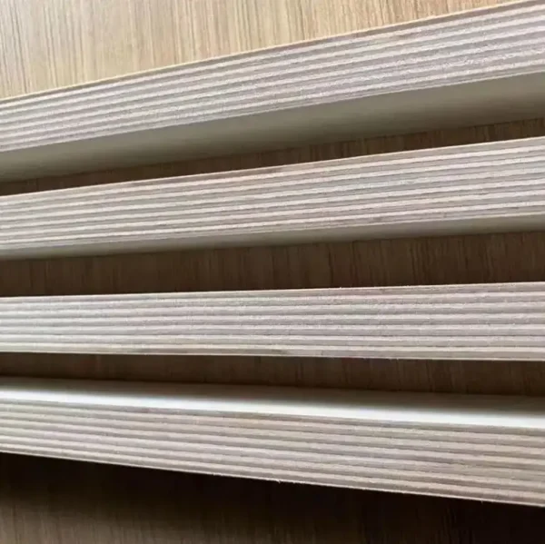 Birch plywood - Image 4