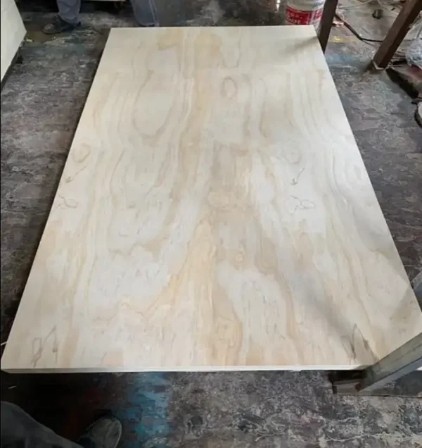 Birch plywood - Image 5